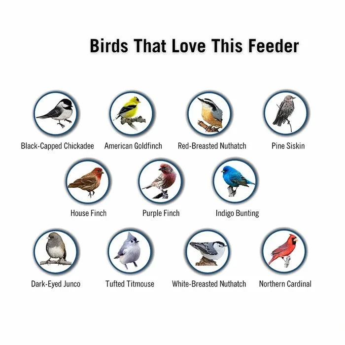 Innovative squirrel-proof feeder for wild birds, crafted for durability and outdoor enjoyment.