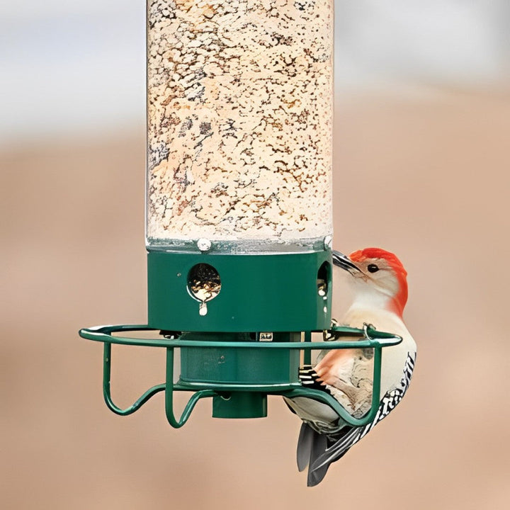 Elegant squirrel-proof bird feeder for gardens, ensuring only wild birds access seeds.