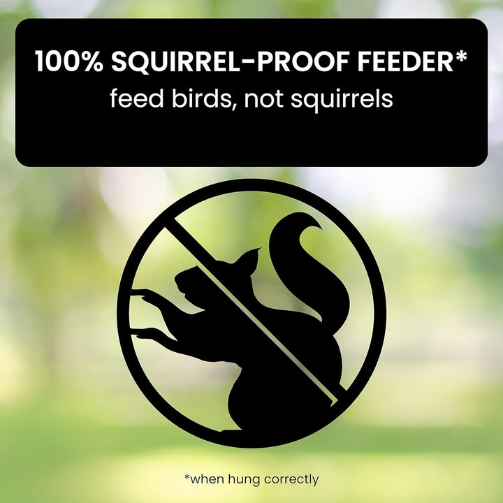 Weather-resistant bird feeder, designed to be squirrel-proof & durable for outdoor use.