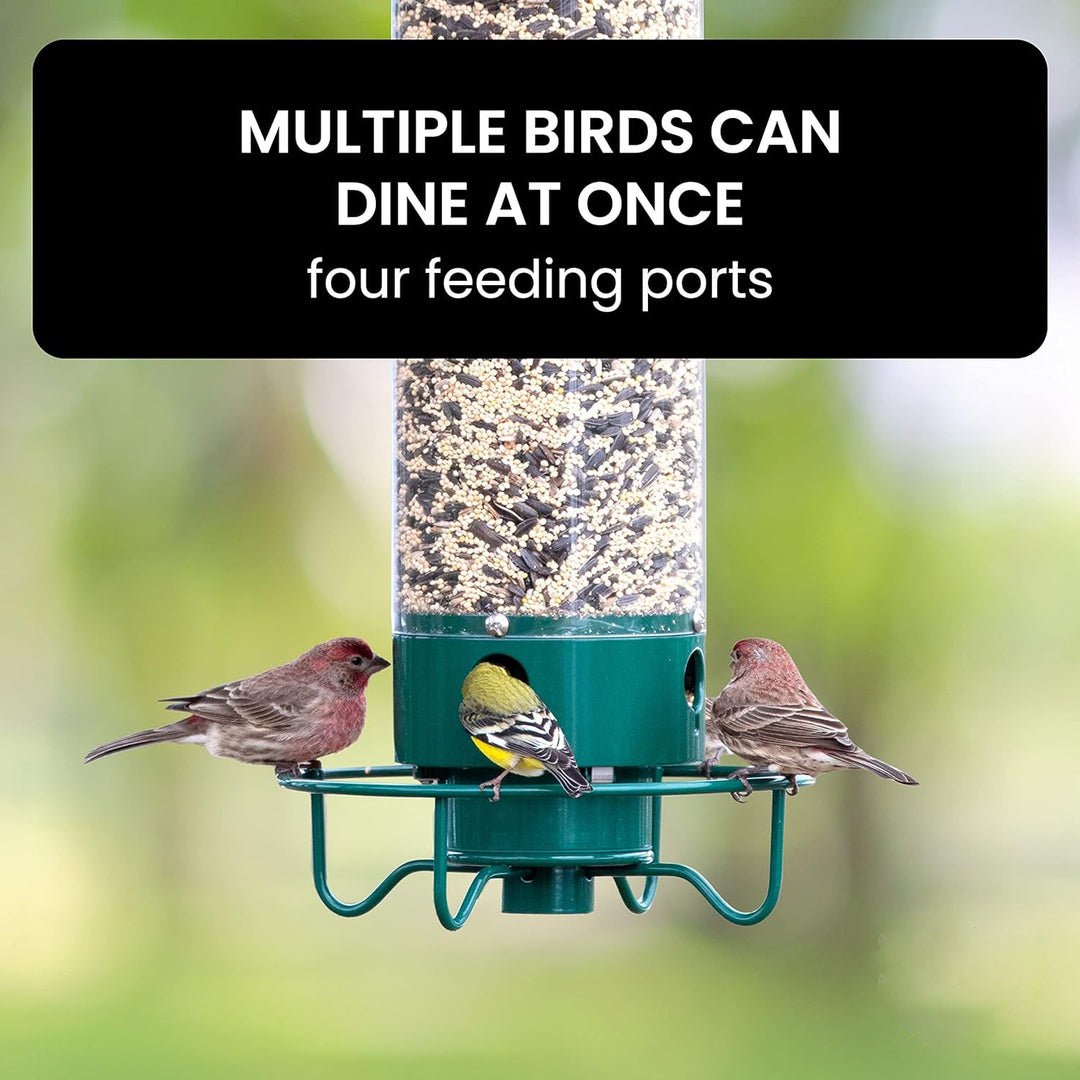 Bird feeder with metal cage, built for durability & effective squirrel-proofing in your garden.