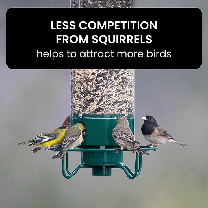 Heavy-duty squirrel-proof feeder, enhancing your garden decor & wild bird observation.