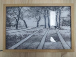 Wood