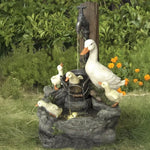 Duck