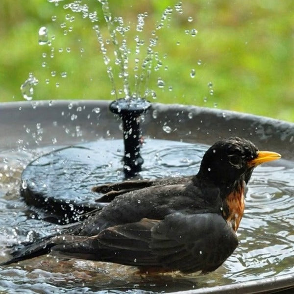 Perfect gift: Eco-friendly solar garden fountain. Enhances outdoor ponds & birdbaths with a charming water feature.