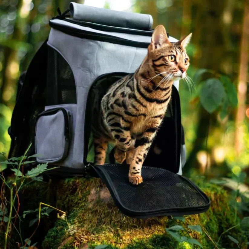 Effortless travel cat backpack carrier for felines. Ventilated pet backpack with transparent window.