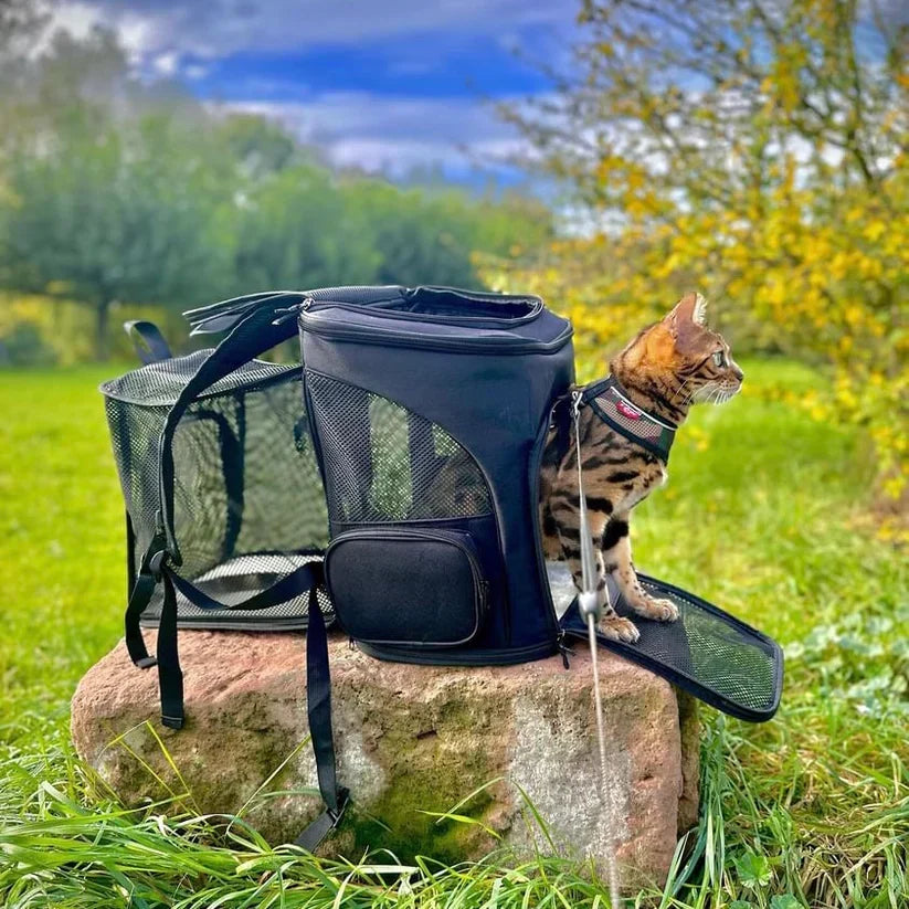 Durable cat travel bag, perfect pet backpack for outdoor gear & pet travel. Secure & comfortable.