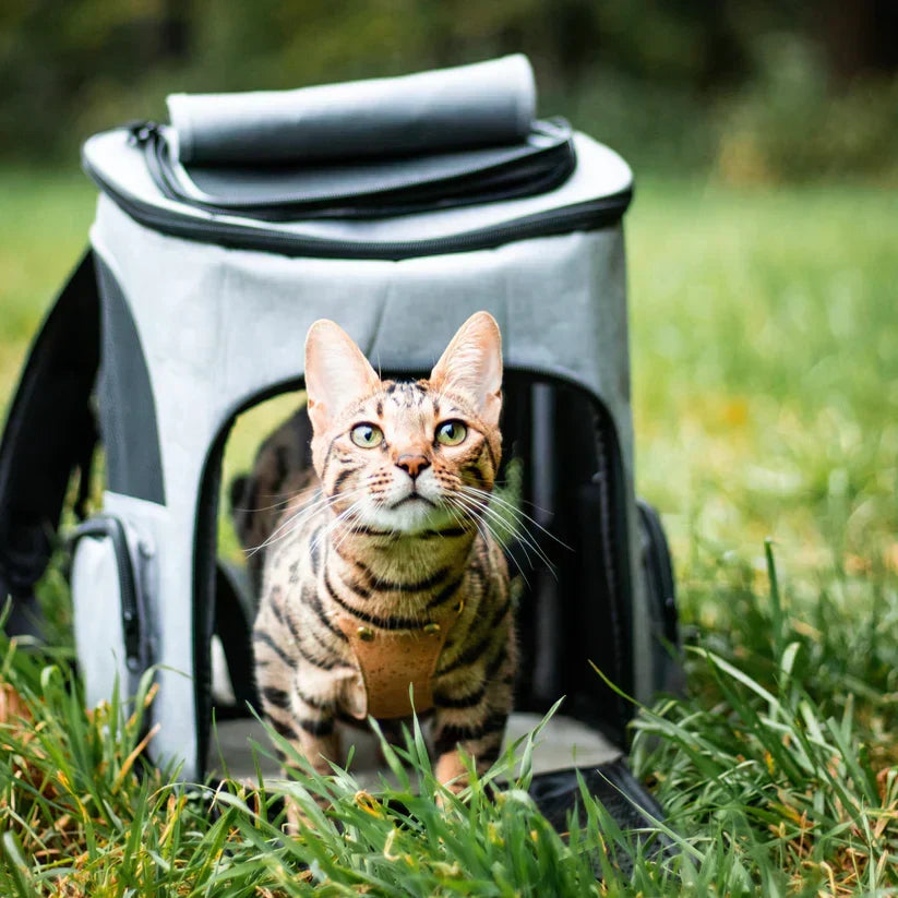 Portable cat carrier backpack, designed for effortless travel & comfortable adventures for felines.