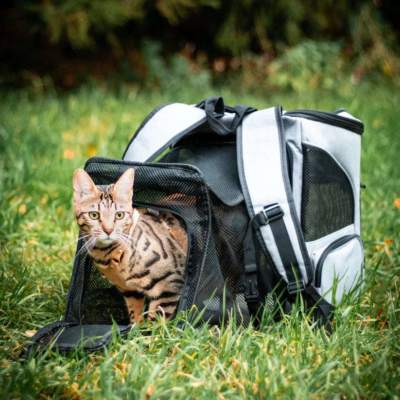 Outdoor pet gear: the PurrPack cat backpack, a secure travel bag with breathable design for cats.