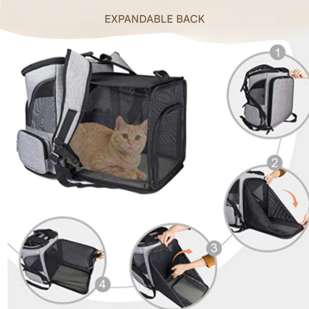 Transparent window cat backpack for felines, a safe & stylish pet travel carrier for all supplies.