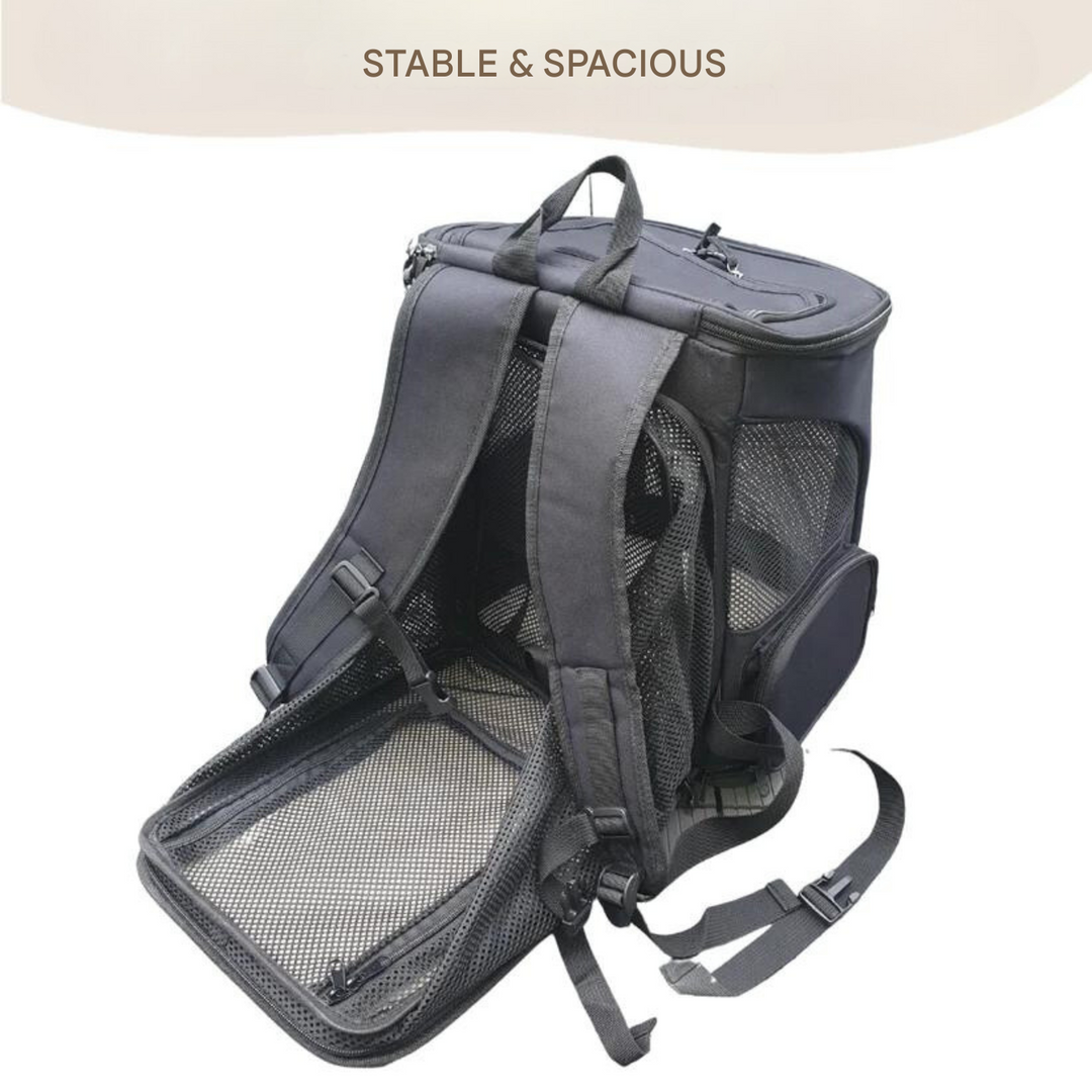 Comfortable cat backpack, an ideal pet carrier & travel bag for effortless journeys with your feline.