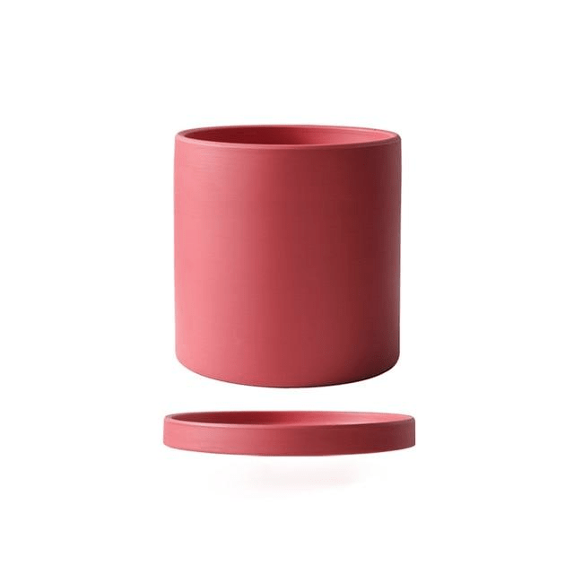 Decorative ceramic planter for small indoor plants, complete with an essential saucer.
