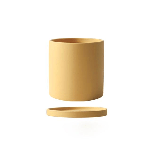 Smooth ceramic planter with saucer, a must-have for sophisticated indoor plant styling.