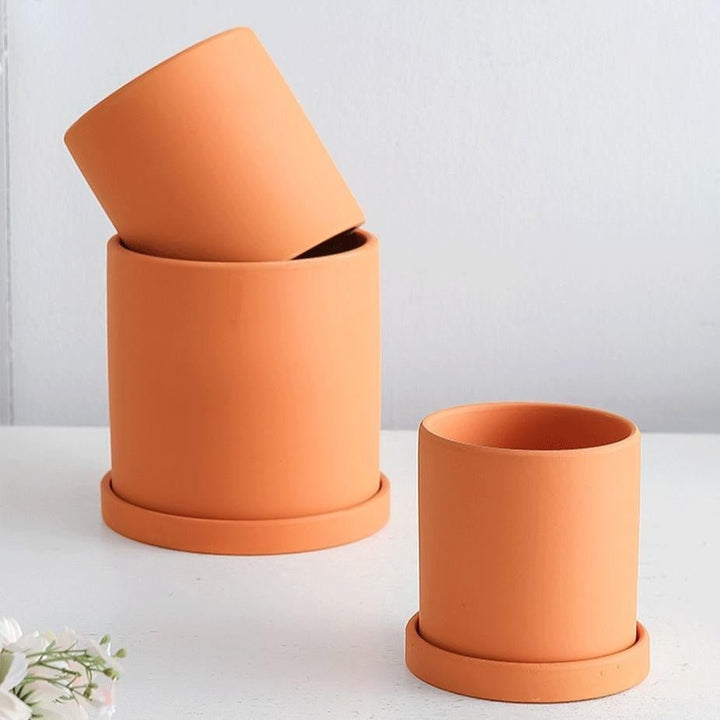 Round ceramic pot with saucer, suitable for various indoor plants like herbs or cacti.