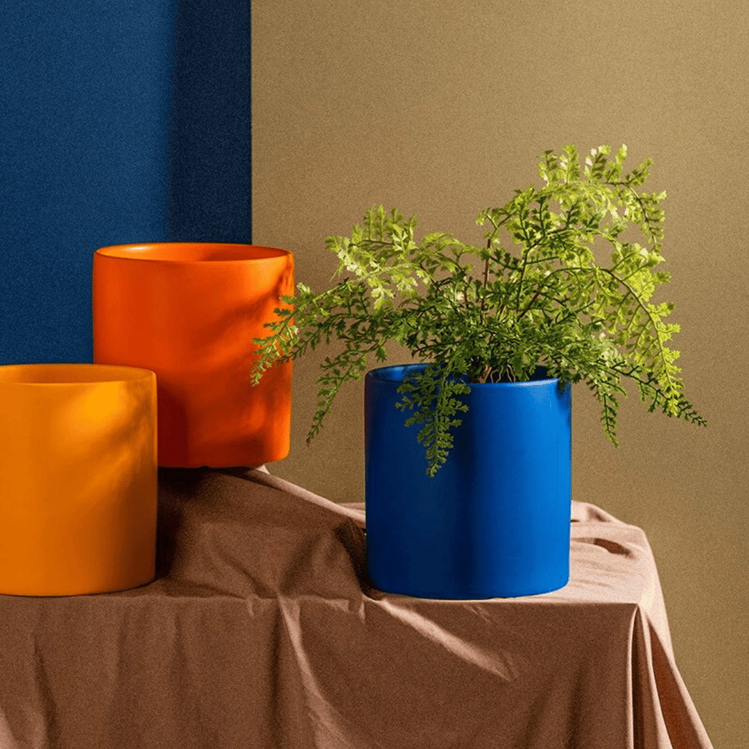 Sleek ceramic succulent pot with drainage saucer, a chic addition to any home decor.