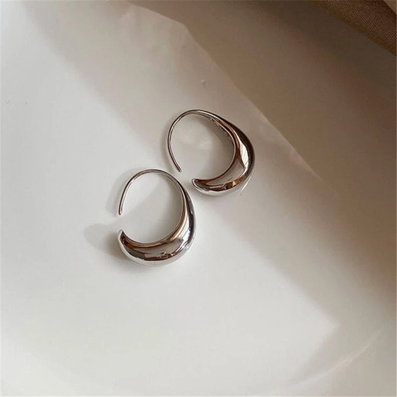 Chic silver dangle earrings for women, luxury jewelry, adding a touch of elegance. A stylish fashion accessory.