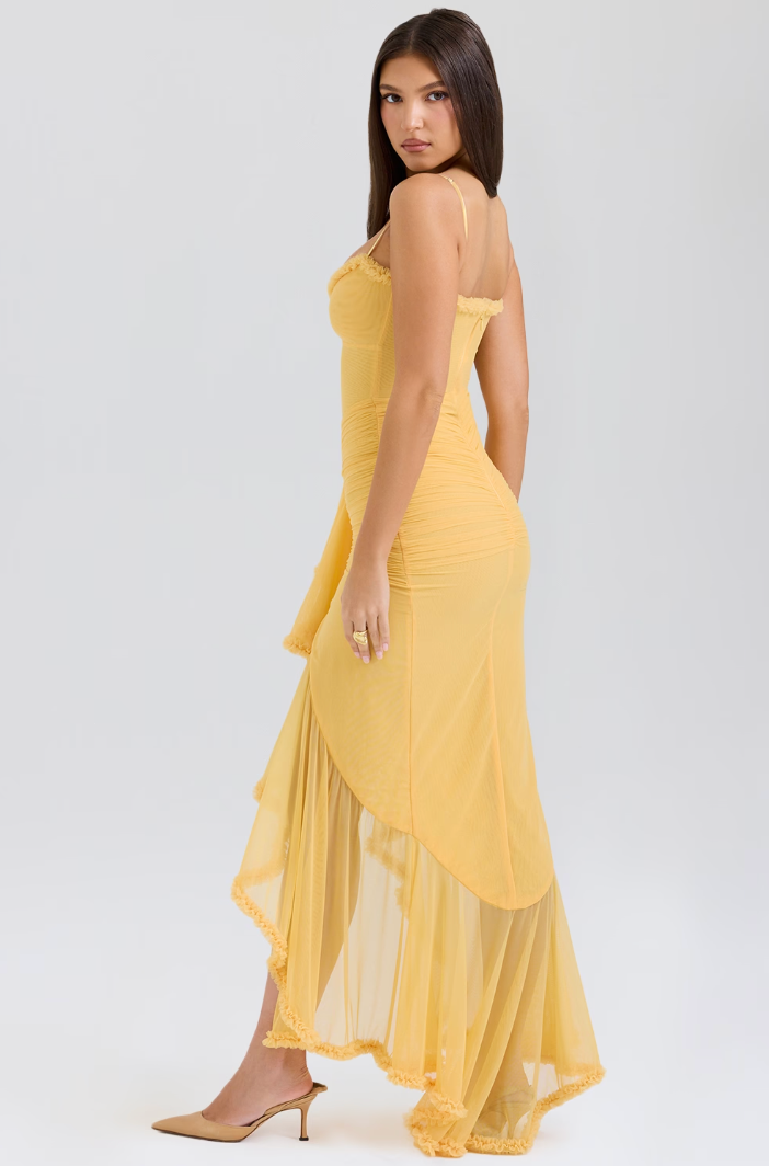 Formal Ruffle Maxi Dress for Women. Ideal wedding guest attire, also perfect as a chic evening gown.