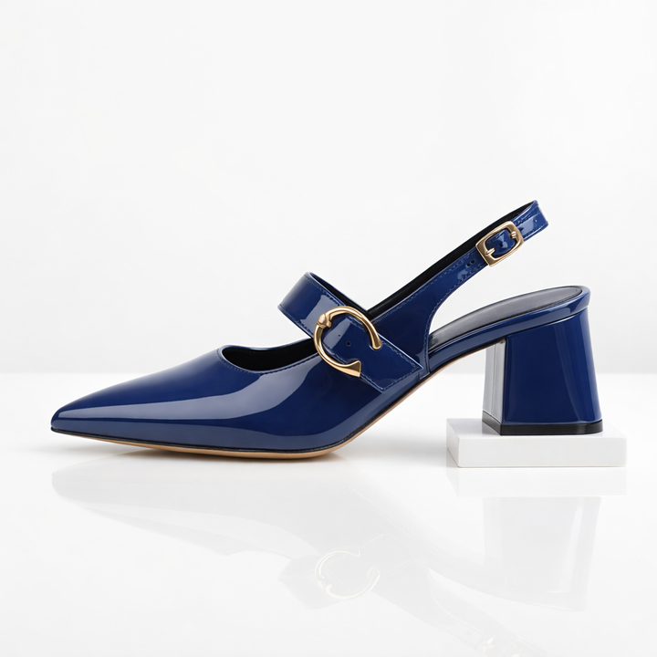 Women's comfortable dress shoes: pointed toe, buckle, block heel, suitable for all-day wear.
