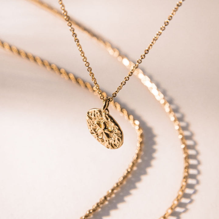 Delicate silver sand dollar pendant necklace for women, perfect coastal ocean jewelry. Elegant & hypoallergenic.