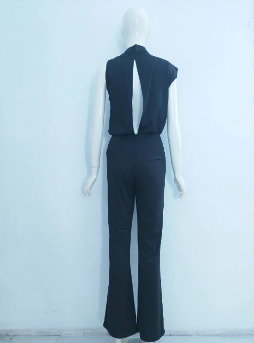 Fashionable women's sleeveless wide leg jumpsuit, great for office or evening wear.