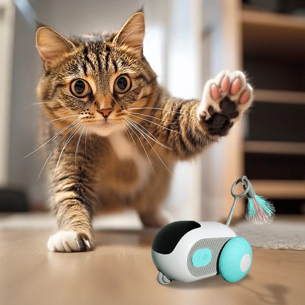Engaging automatic cat chase toy, an interactive smart pet entertainment for active indoor cats & kittens.