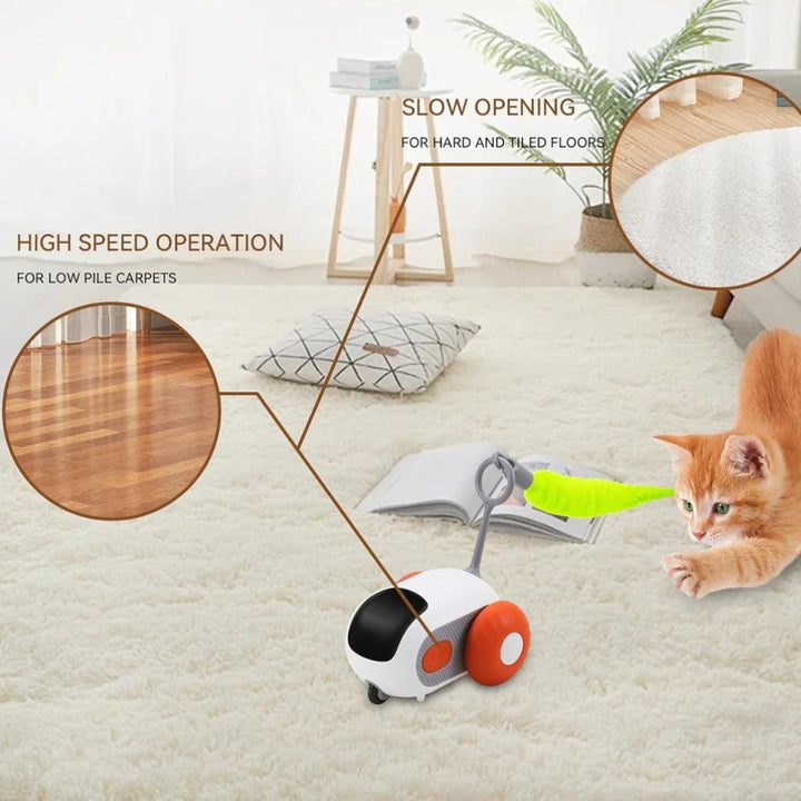 Durable automatic cat toy offering interactive entertainment & essential exercise for active indoor felines.