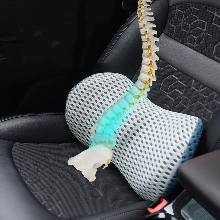 Premium orthopedic back support cushion. Ergonomic, universal fit for car, office chair. Posture corrector, pain relief.