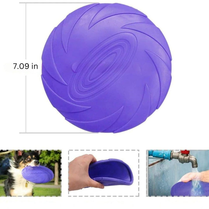 Lightweight, flexible dog frisbee for active play, great for fetch, training, and outdoor fun with your dog.