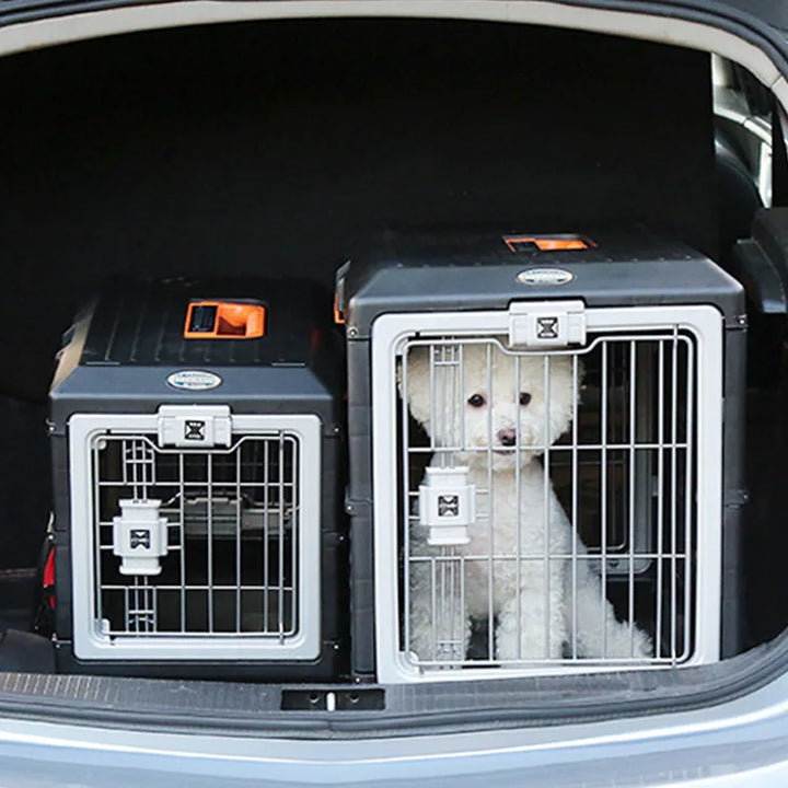 Dog travel carrier, foldable design with safety leash & comfortable pad. Ideal for small to medium dogs.
