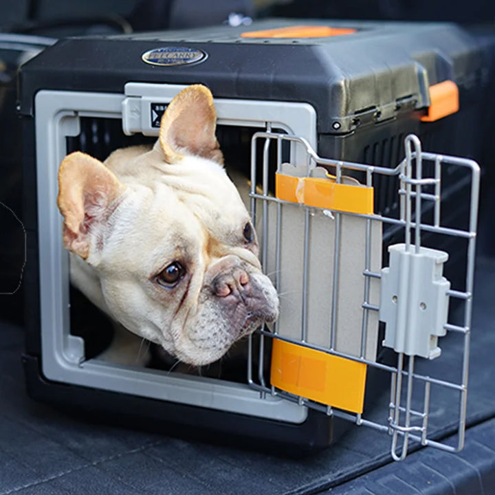 Cat travel carrier, collapsible & portable for stress-free transport. Mesh panels ensure airflow & visibility.