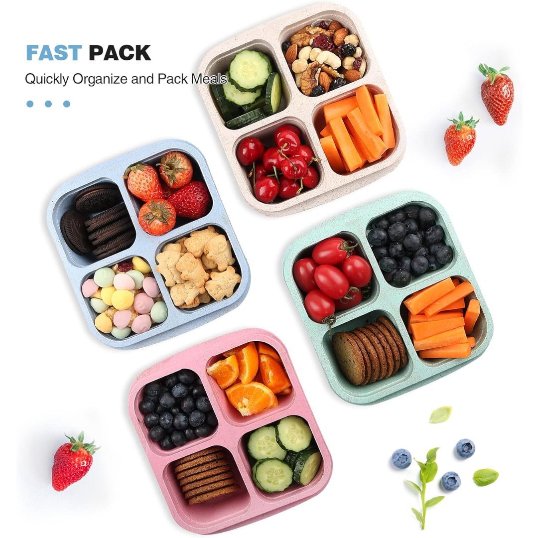 Reusable 4-section food containers for healthy snacks and organized meals
