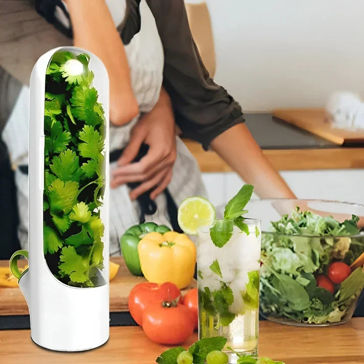 Clear herb storage container preserving fresh basil, cilantro, and mint. Ideal for refrigerator food preservation.