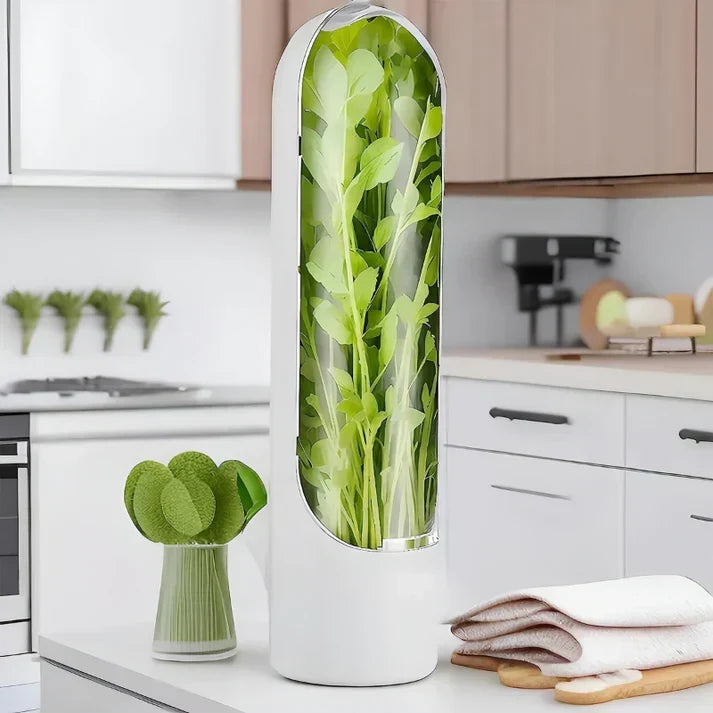 Sleek FreshKeep herb storage box for optimal food preservation, extends life of parsley, chives & fresh herbs.