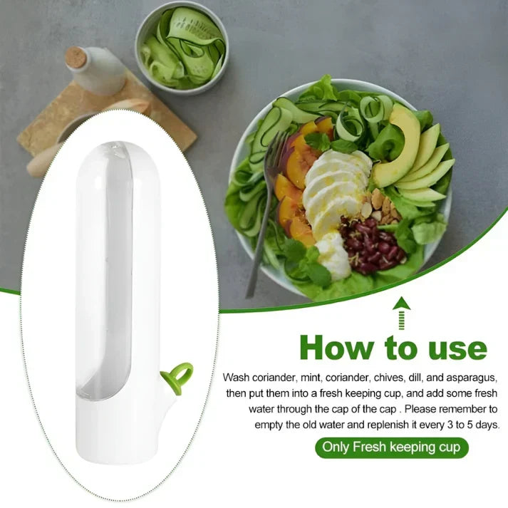 Innovative FreshKeep herb keeper container ensures fresh mint, thyme & sage last longer in your refrigerator.