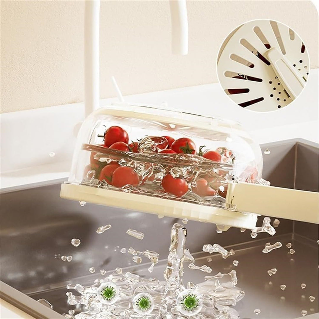 FreshSeal food preservation container, designed to keep your fruits and vegetables fresh longer in the fridge.