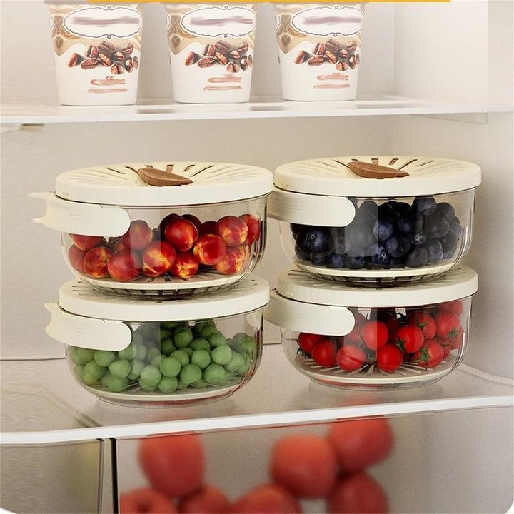 Space-saving FreshSeal refrigerator organizer for produce; keeps fresh fruits & veggies neatly stored.