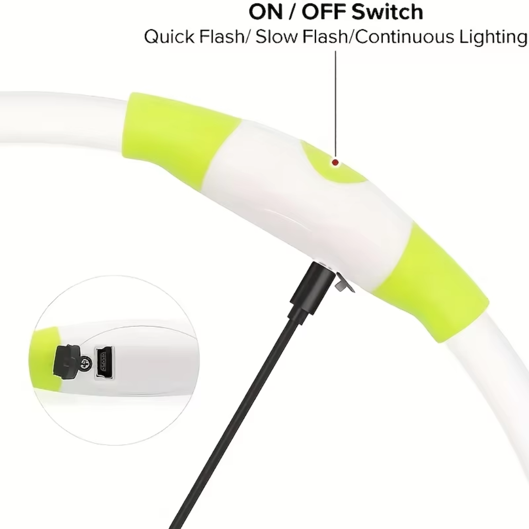 Modern LED dog collar, USB rechargeable, a must-have for pet safety and visibility