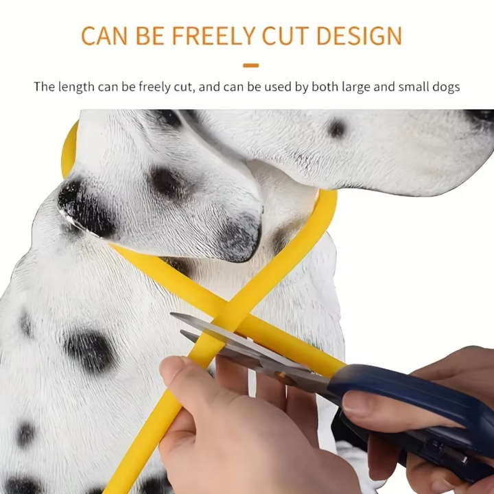 GlowSafe pet safety collar with LED lights, USB rechargeable, for dark environments