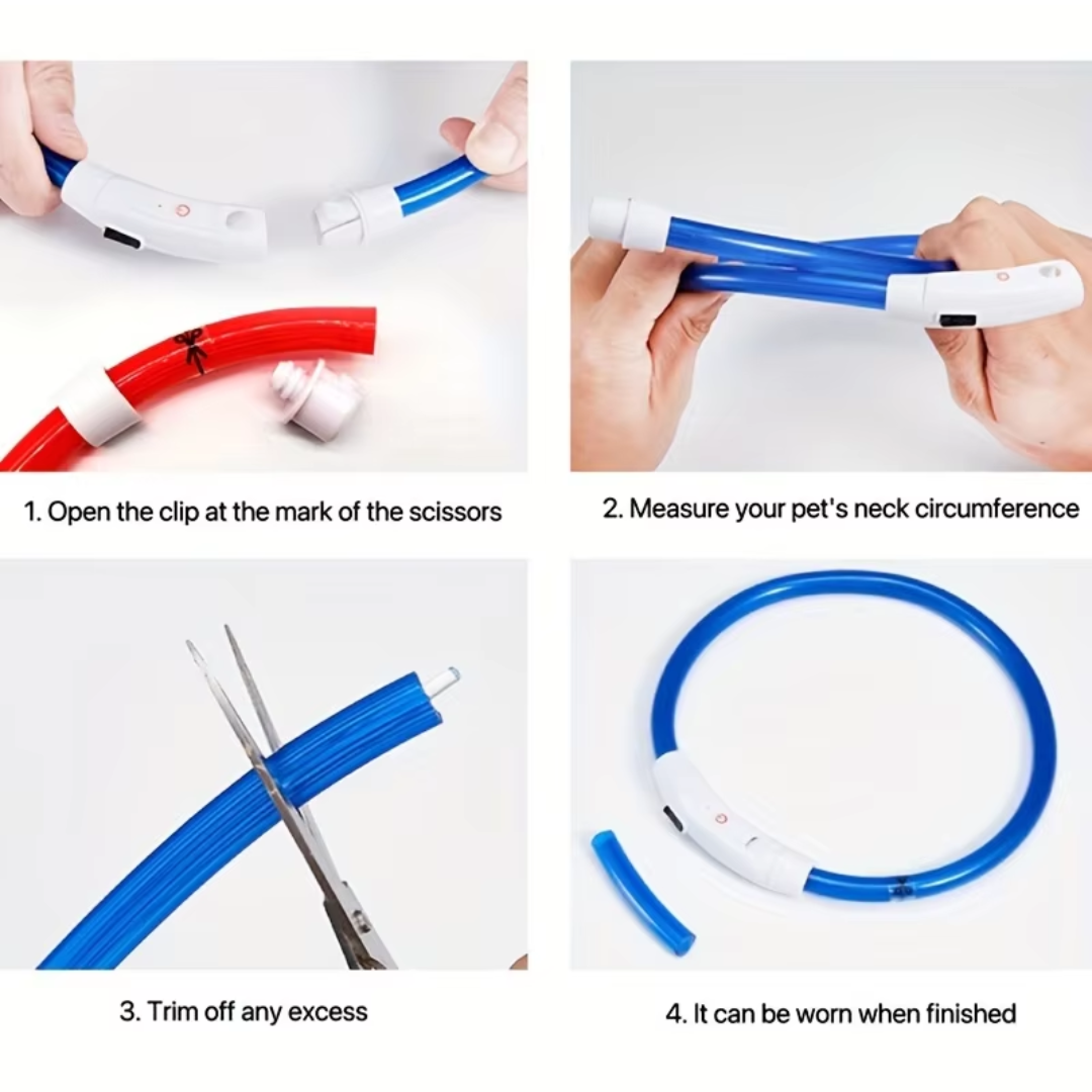 Rechargeable LED dog collar for pet safety, featuring easy USB charging