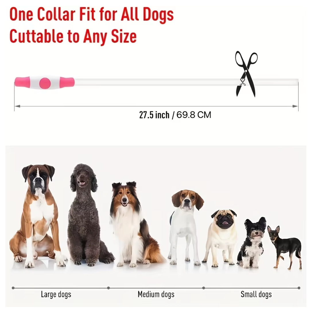 Night walk essential: USB rechargeable LED dog collar for maximum pet visibility