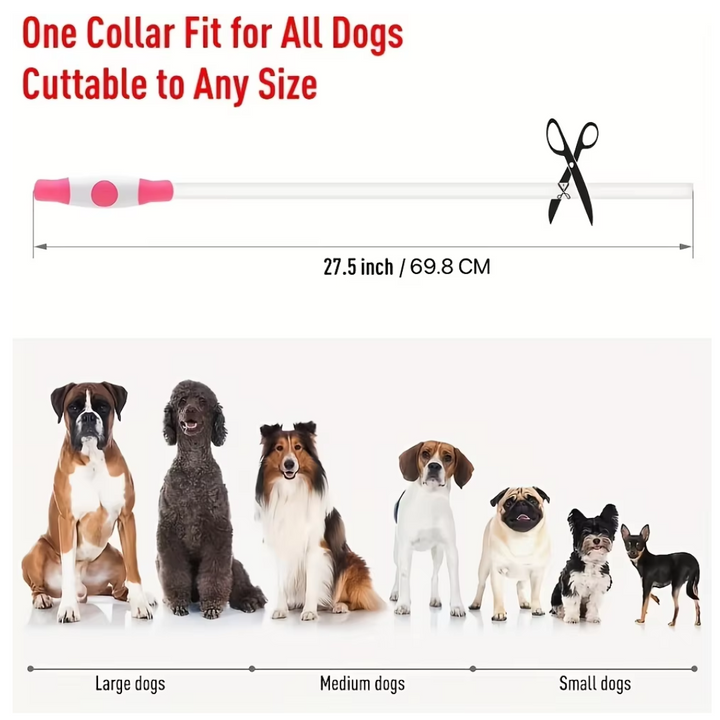 Night walk essential: USB rechargeable LED dog collar for maximum pet visibility