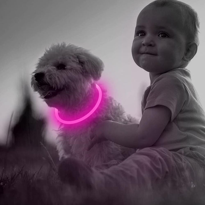Robust LED dog collar, USB rechargeable, designed for pet safety and outdoor adventures
