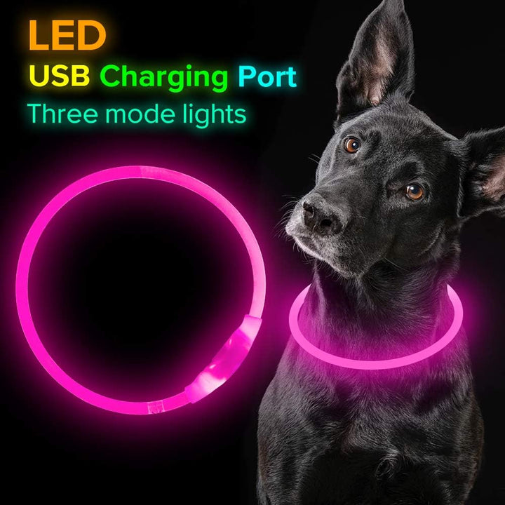 Visible pet collar: GlowSafe LED dog collar, USB rechargeable for night safety