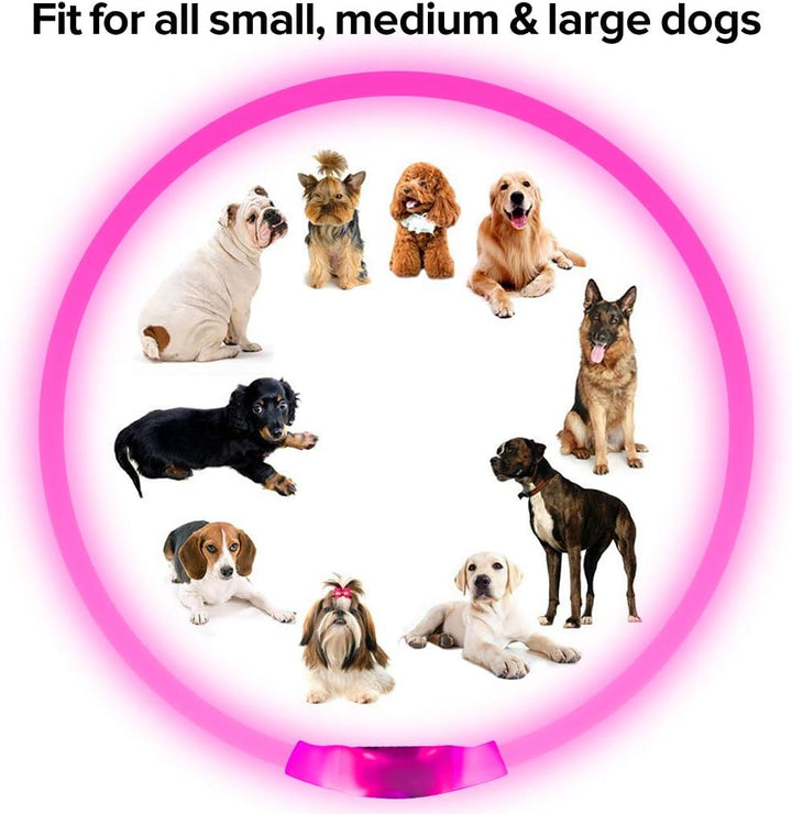 Convenient USB rechargeable LED dog collar, enhancing pet visibility and safety