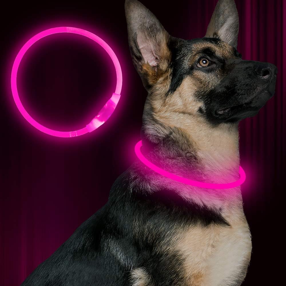 Safe and bright LED dog collar, USB rechargeable, ideal for all pet owners