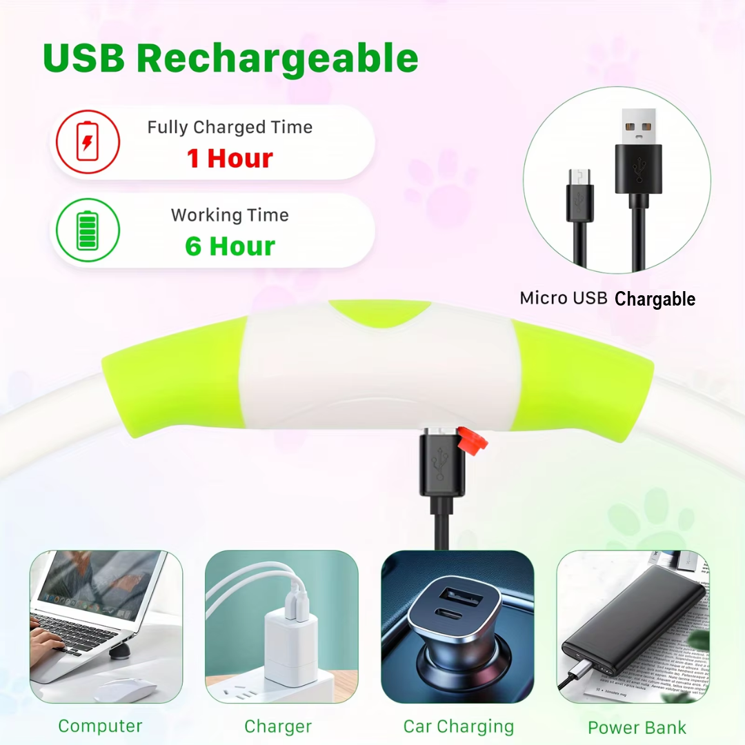 Essential pet gear: LED dog collar, USB rechargeable, for enhanced visibility and safety