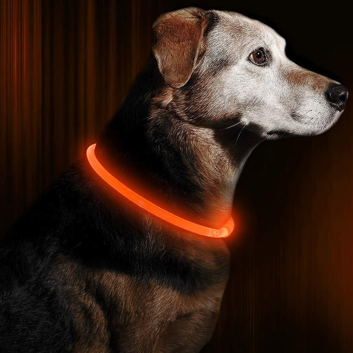 Durable LED dog collar in blue, rechargeable via USB, essential pet safety accessory