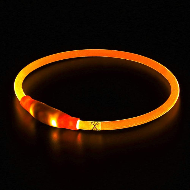 Green GlowSafe LED dog collar, USB rechargeable, enhances pet visibility at night