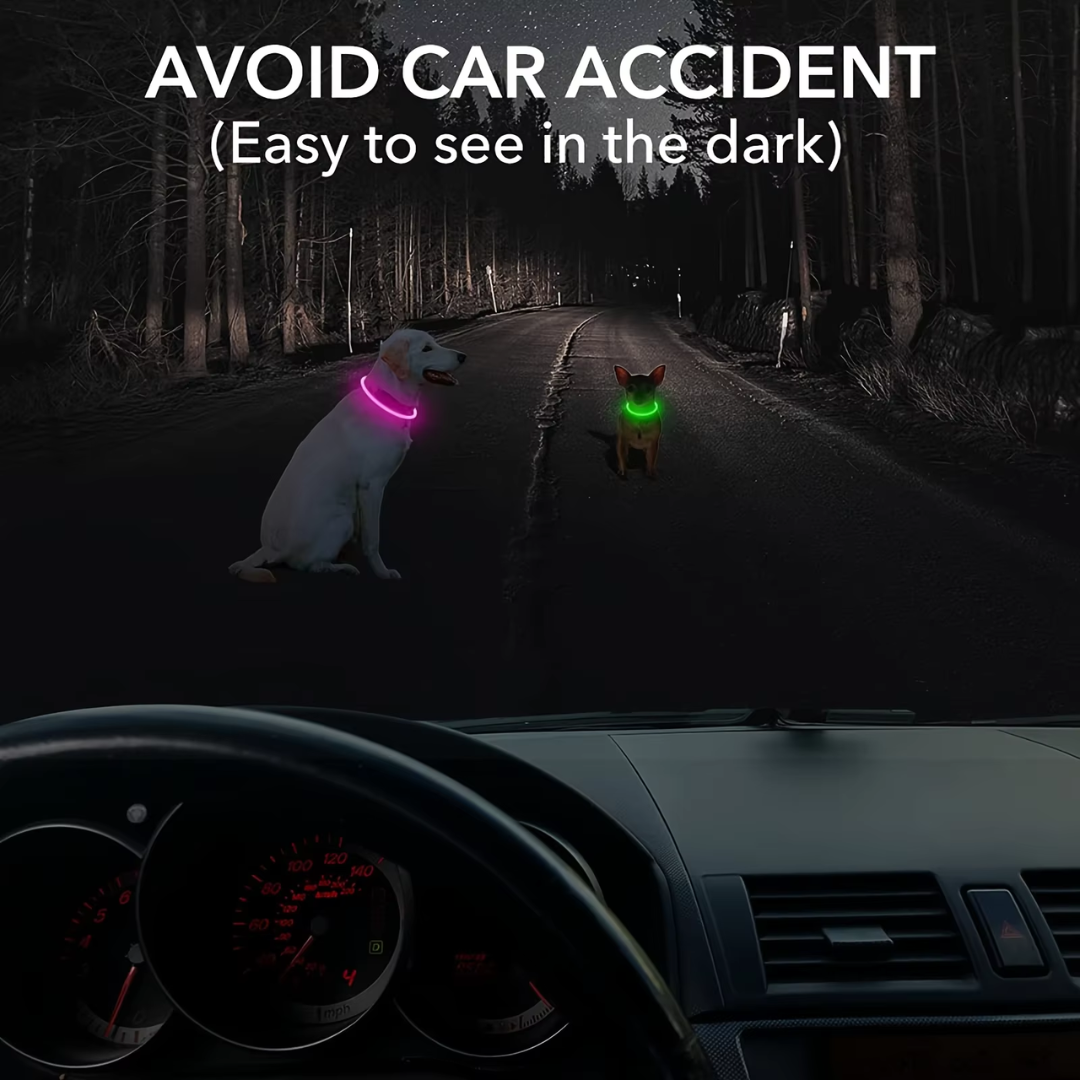 Adjustable LED dog safety collar, rechargeable USB, perfect for evening walks