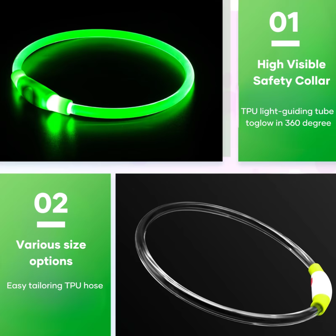 Secure LED dog collar, USB rechargeable, ensures pet safety during night time outings