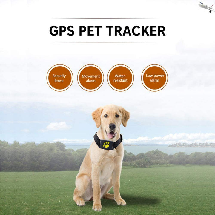 Rechargeable GPS pet tracking collar with USB charging cable, ready to provide continuous real-time location monitoring.